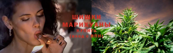 дживик Каменка
