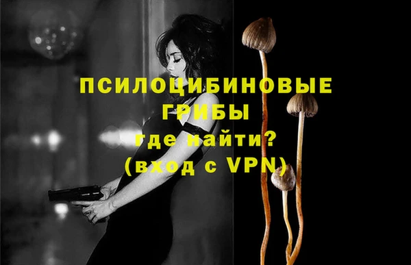 стафф Каменногорск