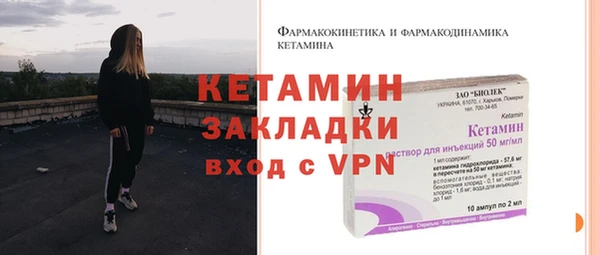 стафф Каменногорск