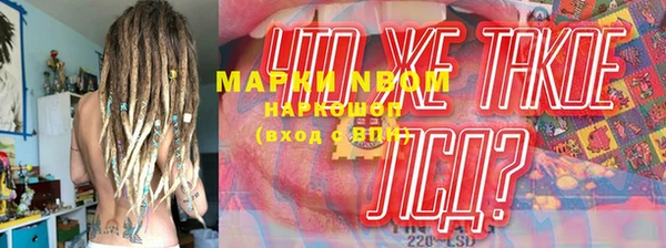 дживик Каменка
