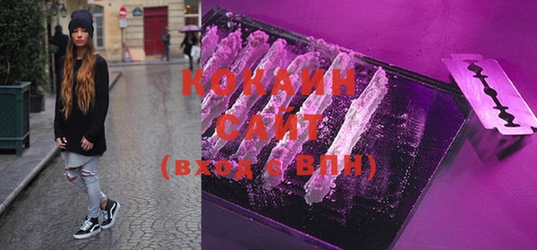 дживик Каменка