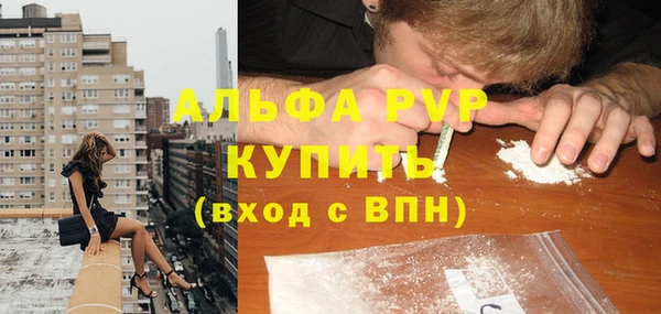 стафф Каменногорск