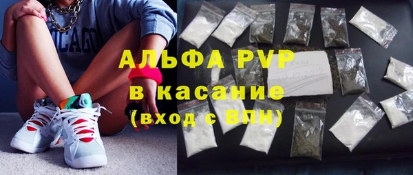 дживик Каменка