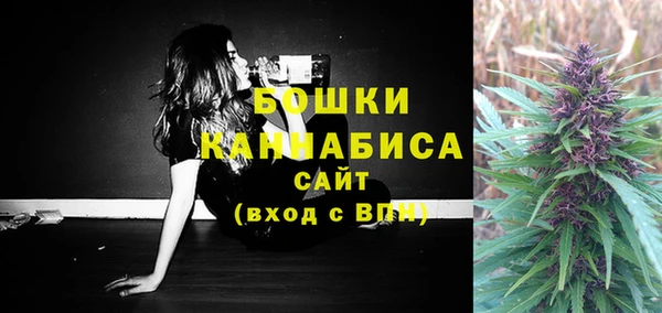 стафф Каменногорск